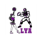 Lakeview Youth Association